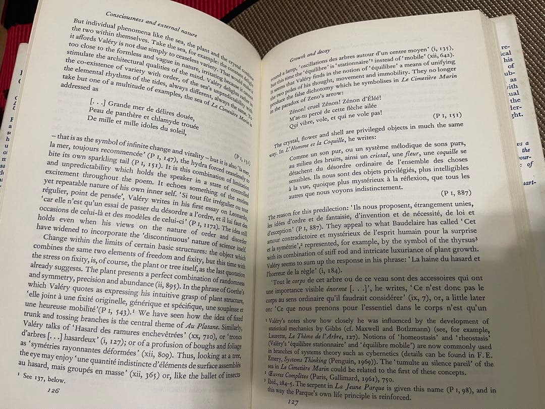 Paul Valéry: Consciousness & Nature
