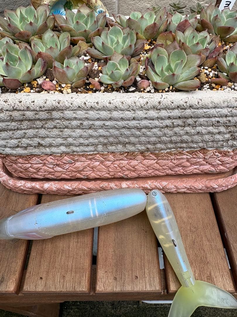 クラッシュ9 ダリア　DAHLIA