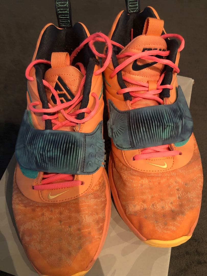 ズームフリーク3 ナイキ　28.5 バッシュ