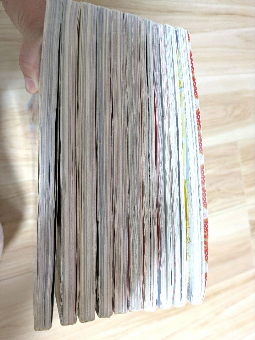 ゴシック&ロリータバイブル 21〜30 10冊 gothic lolita