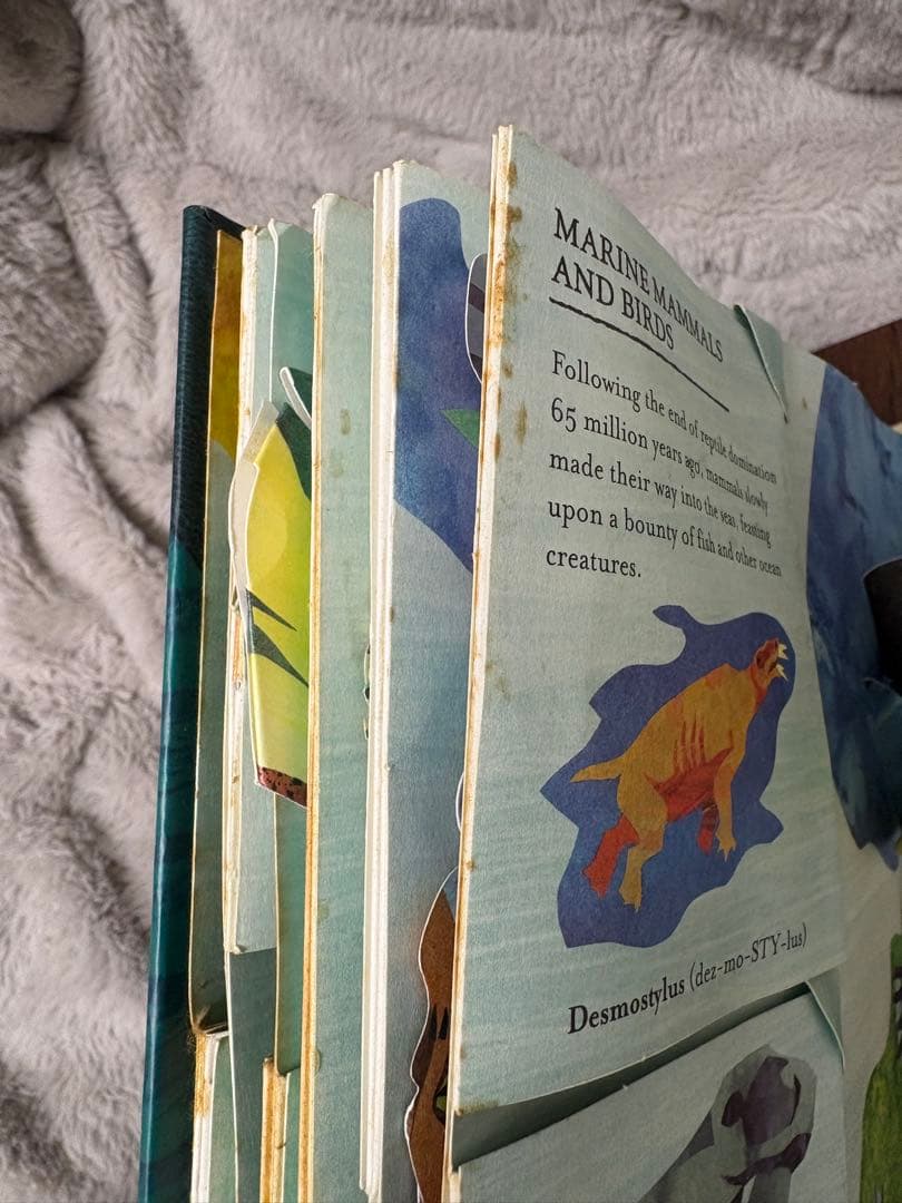 【洋書】ロバートサブダ　仕掛け絵本