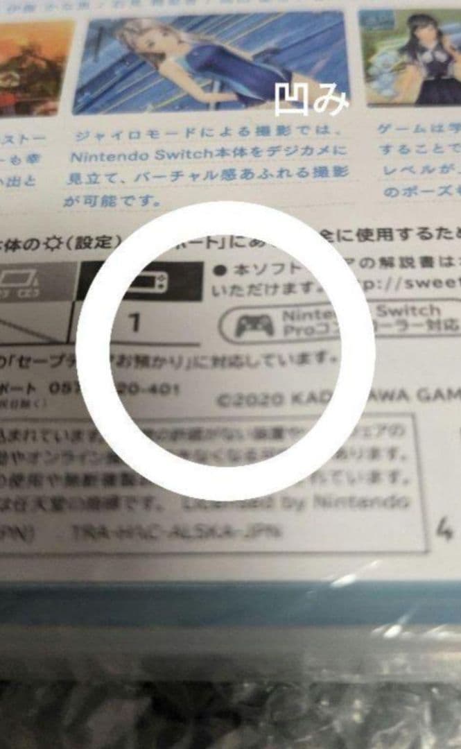 NINTENDOSWITCH LOVER KISS コスチュームデラックスパック