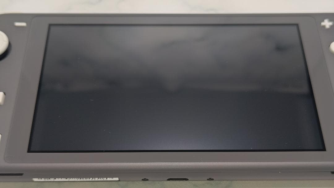 Nintendo Switch Lite グレー 本体(ハードポーチ付き)