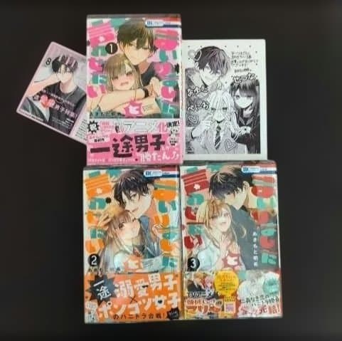 リベンジ・ウェディング１〜９巻【既刊全巻セット】フラワーコミックス10月新刊発売