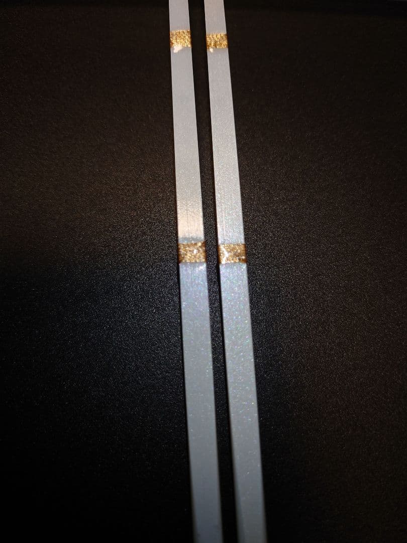 クリスティア ワカサギ 穂先 先調子 26S