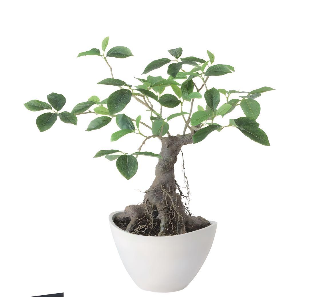 光触媒　人工観葉植物　ウォールグリーン　フェイクグリーン　ガジュマルボウル