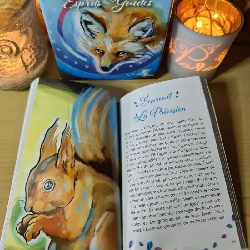 【正規品オラクルカード】フランスレア物✨日本版未発売✨動物の精霊たちのデッキ