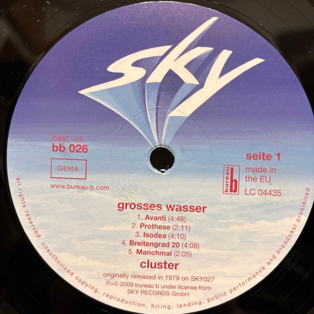 ドイツ盤 Cluster Grosses Wasser レコード クラスター