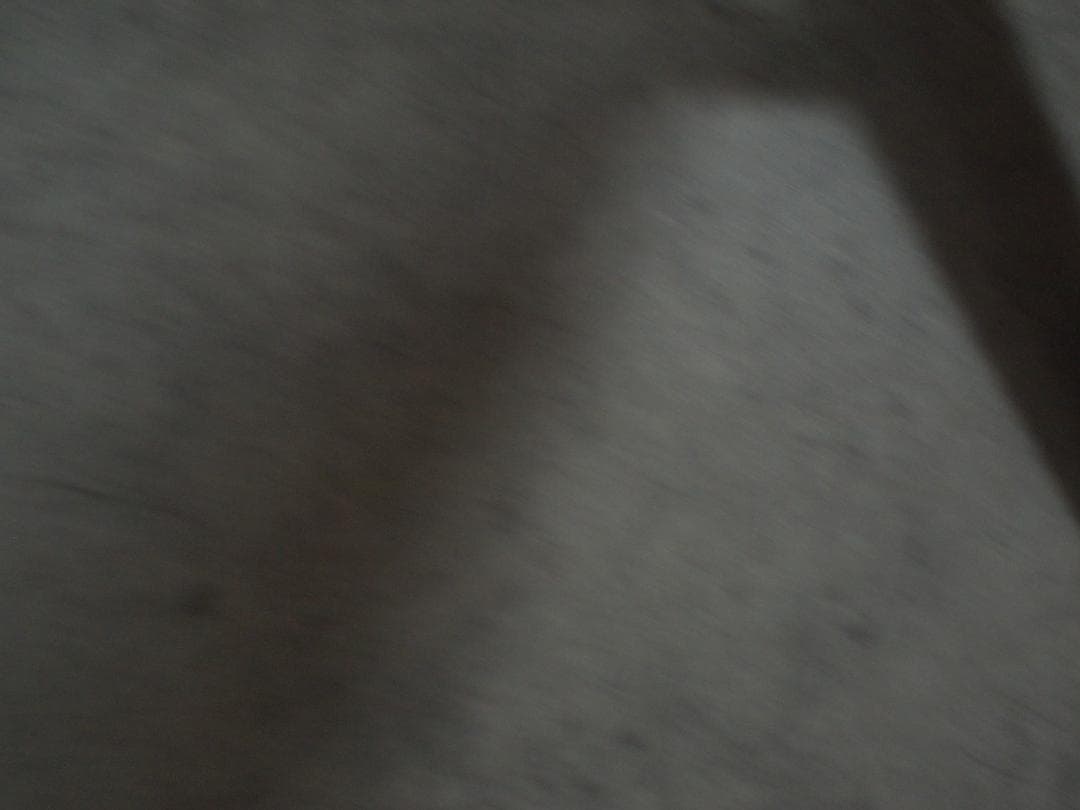 カールハンセン＆サン ハンス・J・ウェグナー CH25 ラウンジチェア