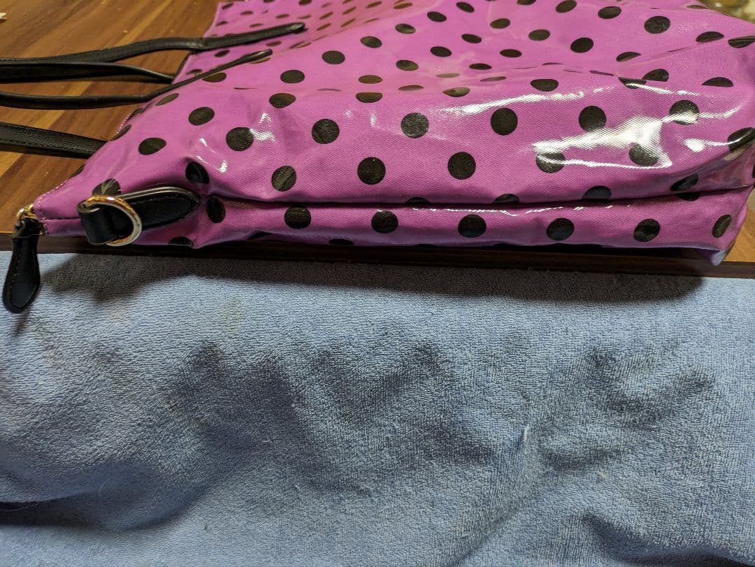 ANNA SUI  ビッグ 巾着バッグ ＆ドットトートバッグプレゼント