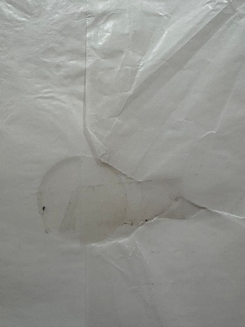 黒田泰蔵　白磁　円筒図録　吉井画廊　サイン付き