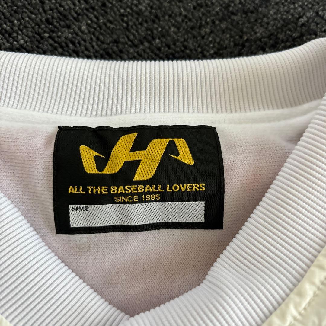 ハタケヤマ Vジャン　ピステ　グラコン　野球　希少