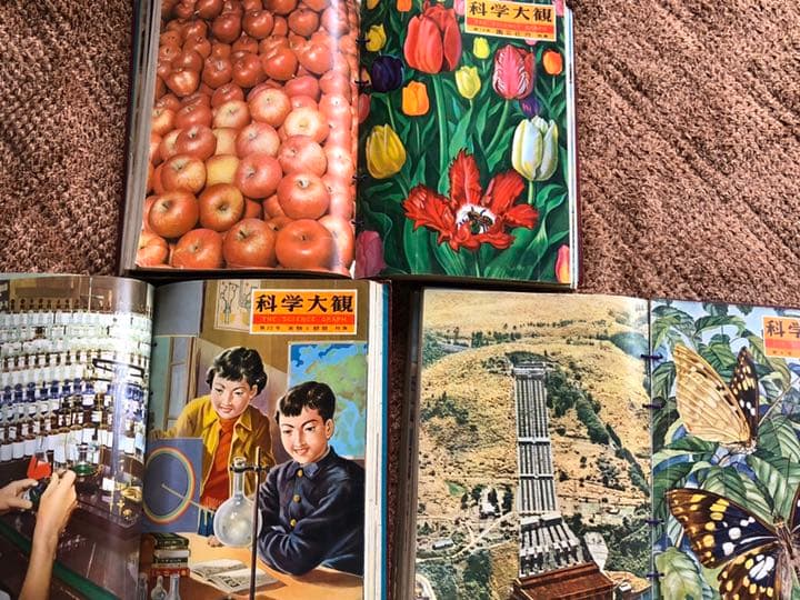 科学大観  世界文化社 第1号～24号（7号8号15号欠）科学大観別冊 科学問答