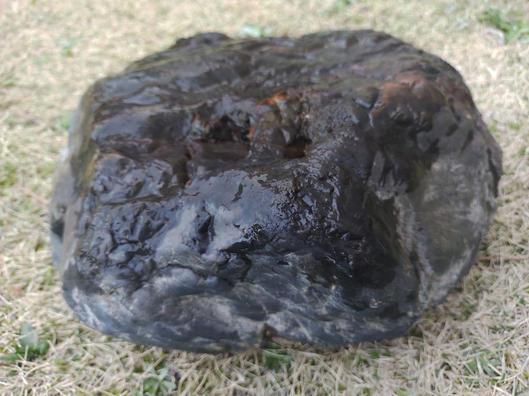 水石界の銘石『瀬田川石』天然石　ウブ石　景石　庭石　盆石　鑑賞石　#224