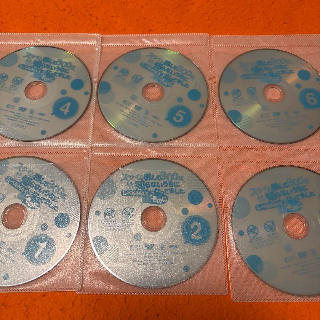 スライム倒して300年、知らないうちにレベルMAXになってました2(そのに)