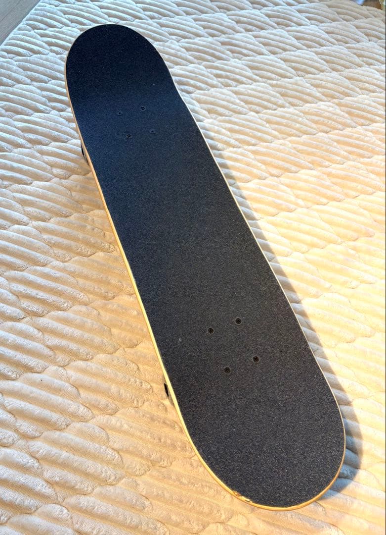 【新品 未使用】ライズ RYZ スケートボード コンプリート7.48 バッグ付き