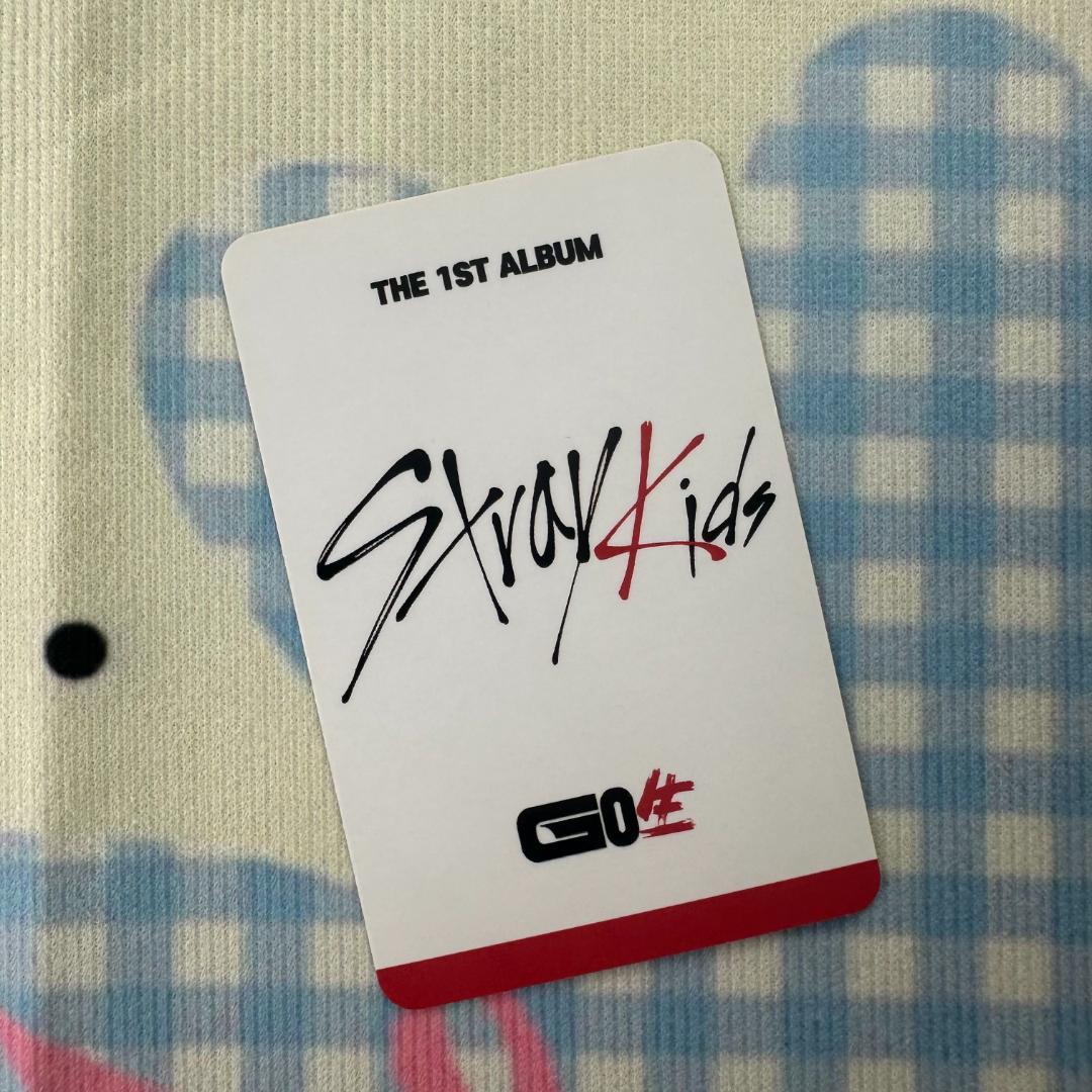 Stray Kids GO生 GOLIVE SUBK トレカ チャンビン