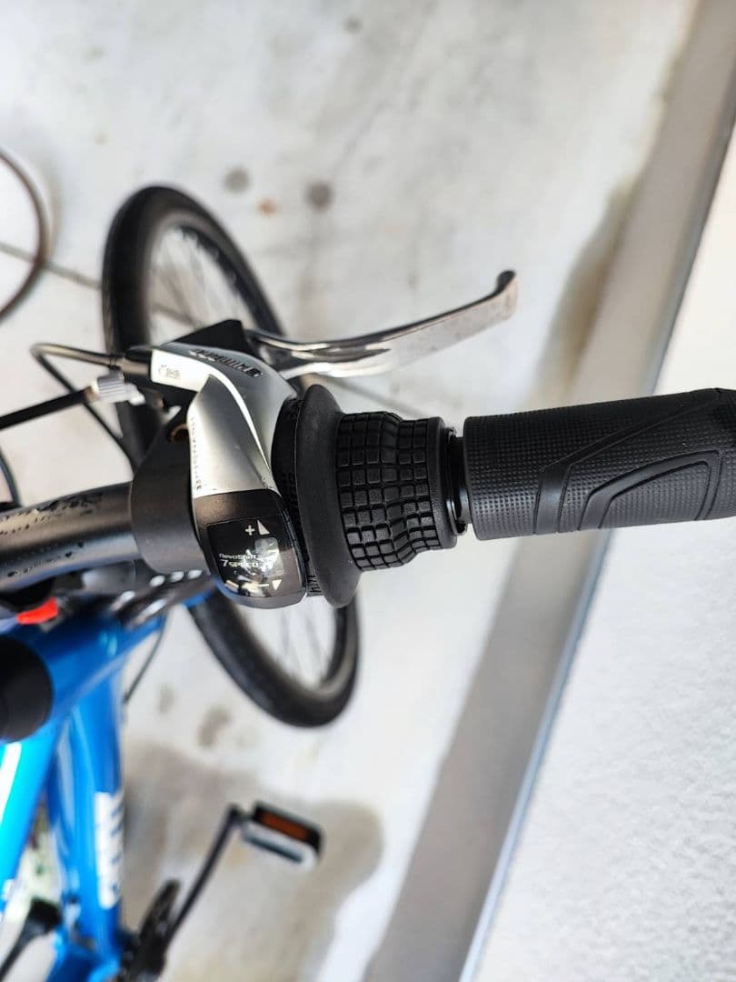 【引き取り限定】GIANT ESCAPE JR 24