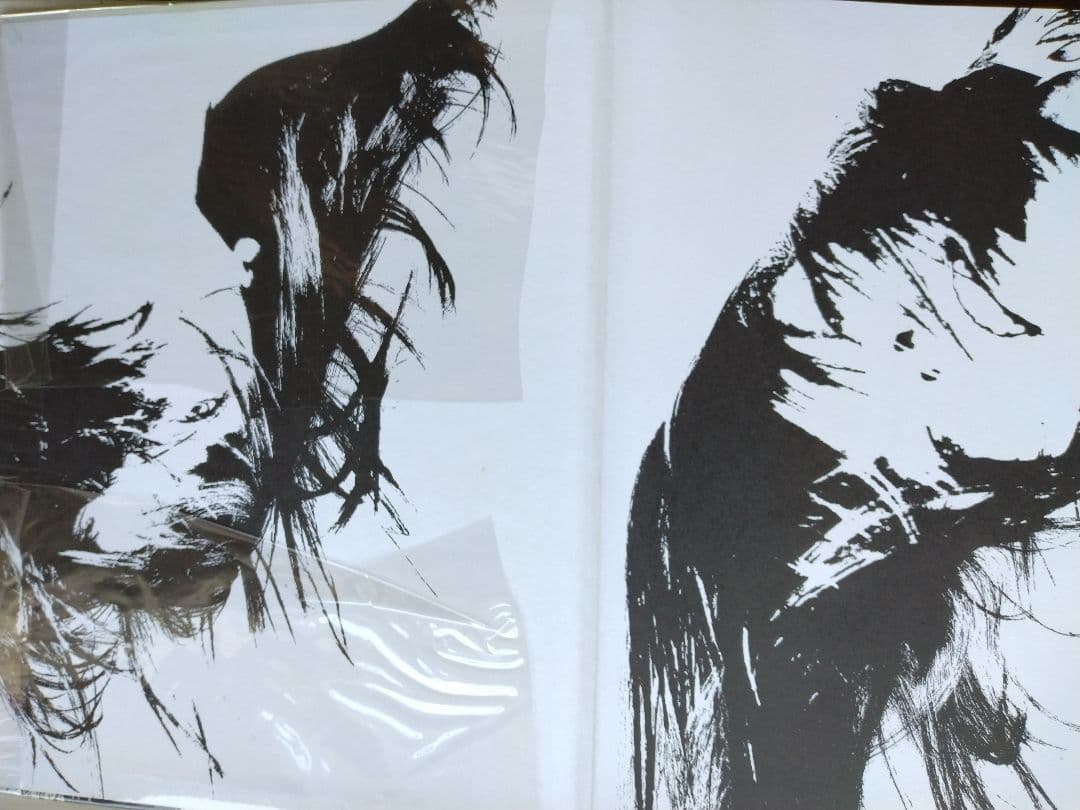 【希少 極 美品】写真集「Her Style 」