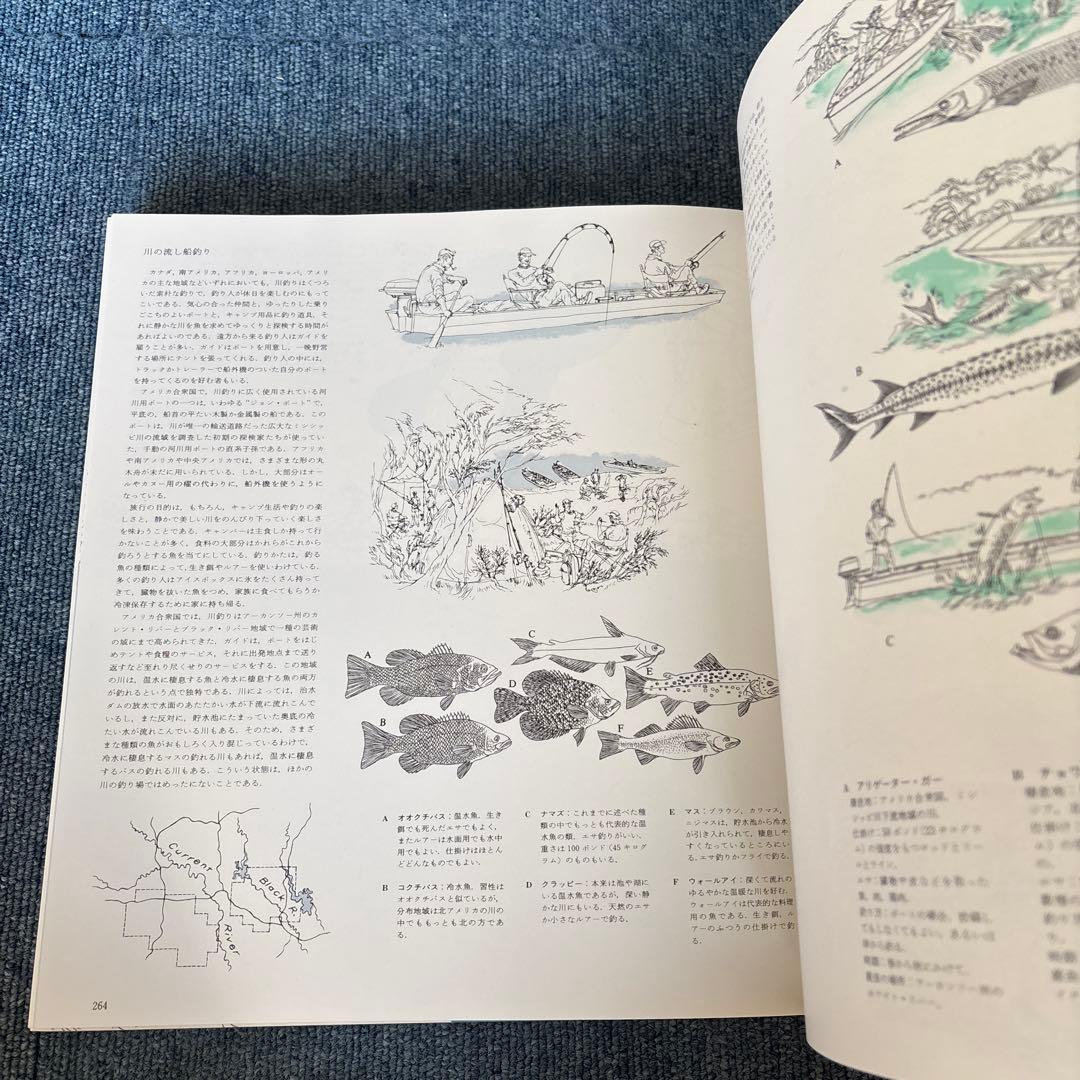 カラー版　釣魚大全