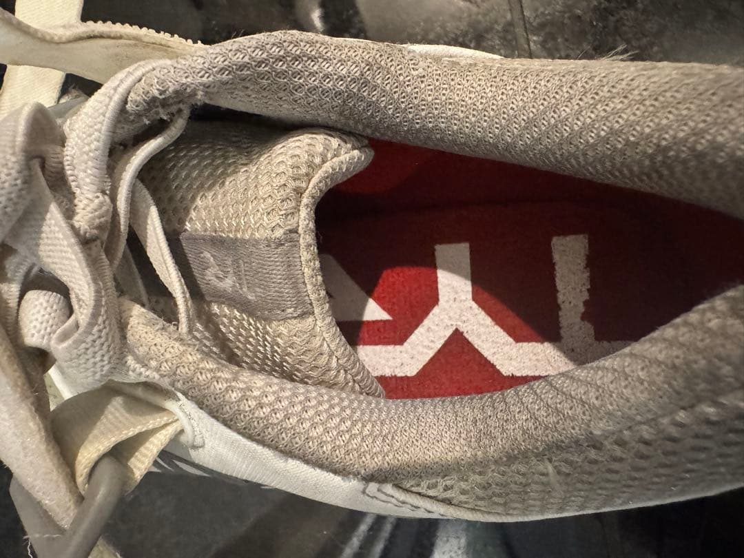 1*0様 TYR L-1 リフター 23.8cm 白×ガム ウエイトリフティング