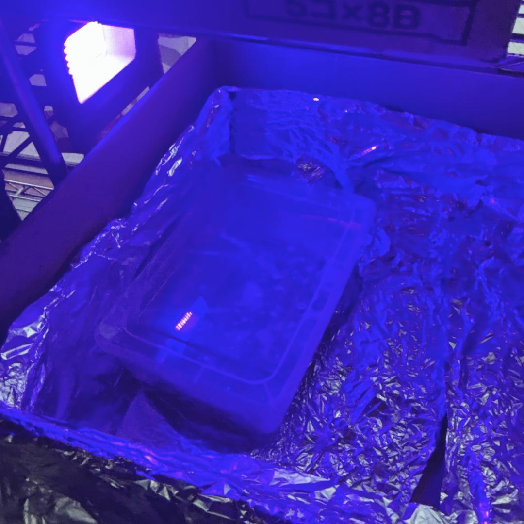 ✅令和使用スーパーファミコン　USB給電・HDMI使用・コンデンサ新品