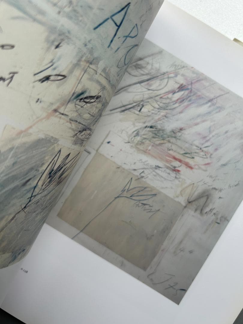 アート・デザイン・音楽 Cy Twombly : Cycles and Seasons