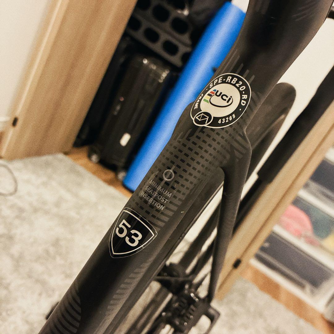 最終お値下げ SPECIALIZED S-WORKS チームフレーム2019