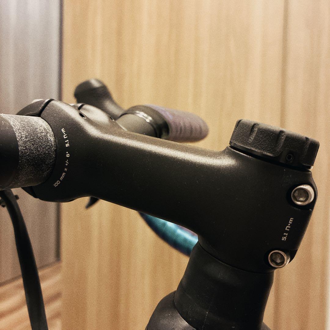 最終お値下げ SPECIALIZED S-WORKS チームフレーム2019