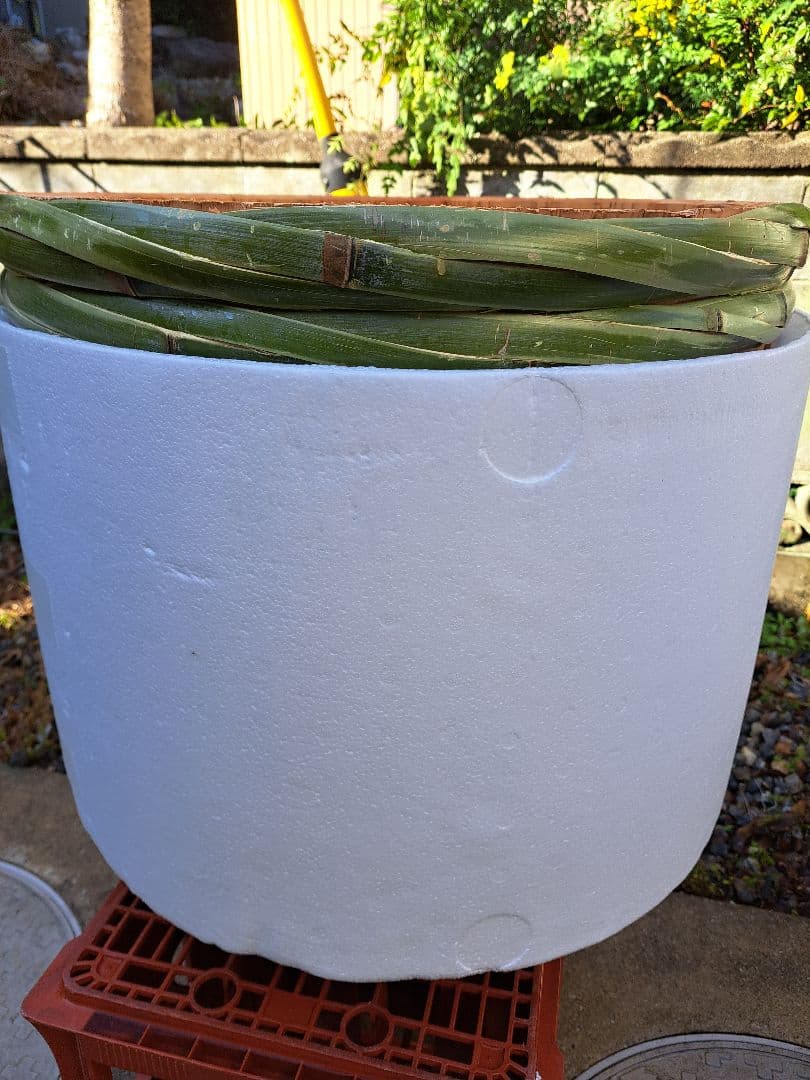 酒樽 木樽 木桶 木製品 レア 希少 メダカ 金魚 ガーデニング 店舗 什器