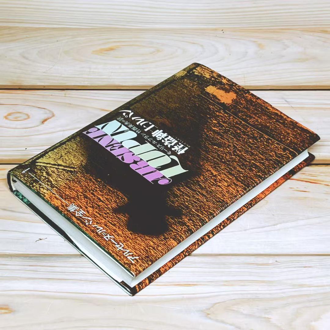 完訳決定版 アルセーヌルパン全集 偕成社 全30巻揃 別巻付 モーリス・ルブラン