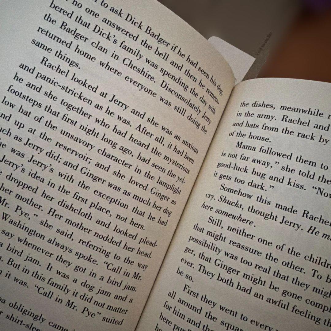 洋書 子供向け G3〜G5 30冊