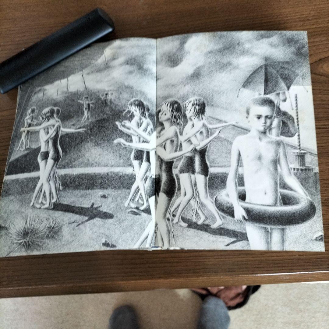 美しい日々　片山健画集