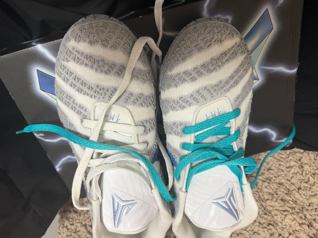 JA3 Alpen東京先行　29㎝