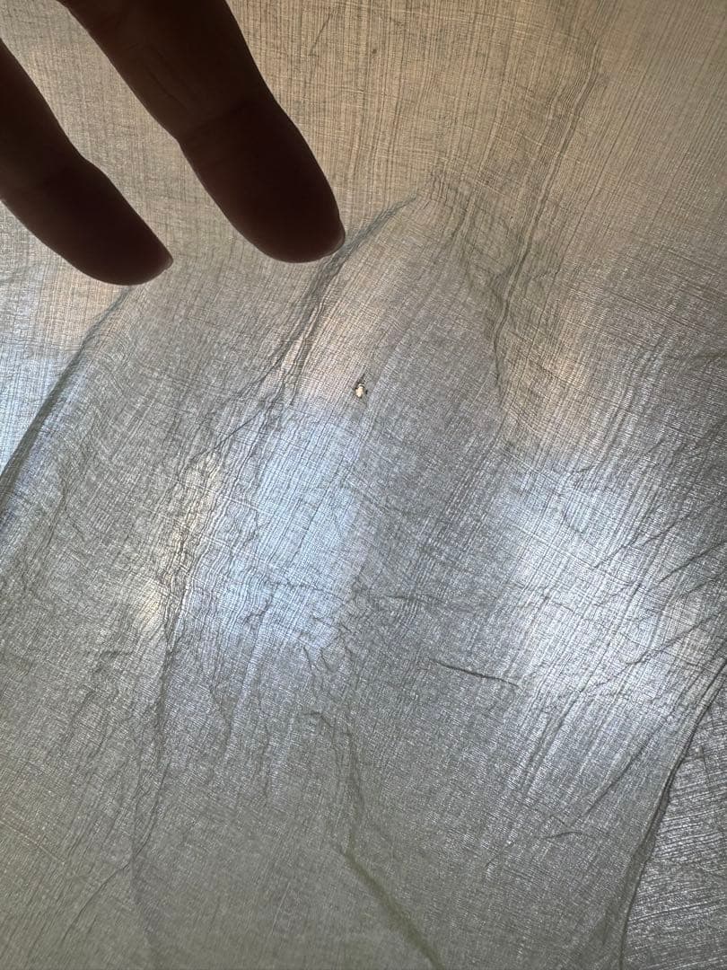 テント・タープ Zpacks hexamid pocket tarp w/doors Olive