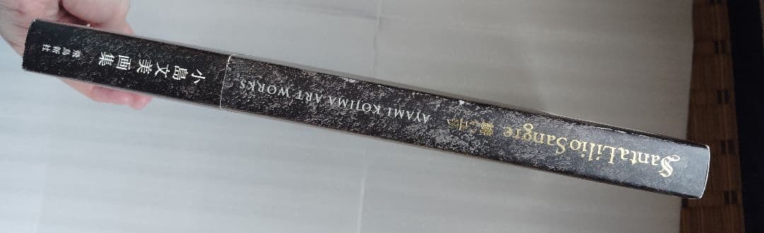 小島文美 画集 イラスト集 緋いユリ　Santa Lilio Sangre