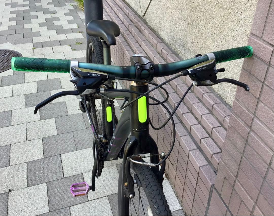 GIANT ジャイアント　LIV WANDER クロスバイク XS24段　東京