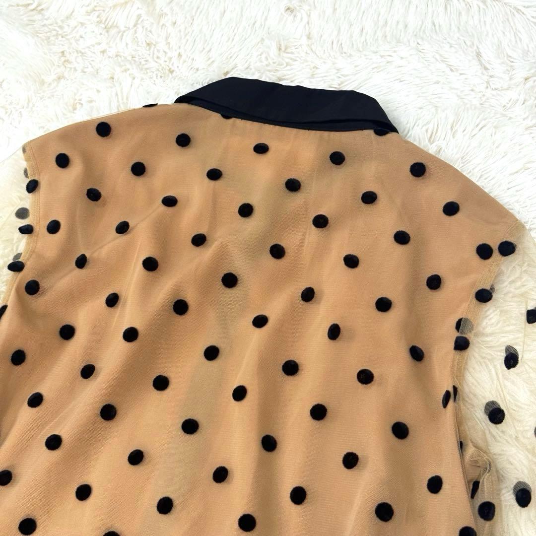 グレースコンチネンタル　プリーツドッキングワンピース ドットレースチュール 38