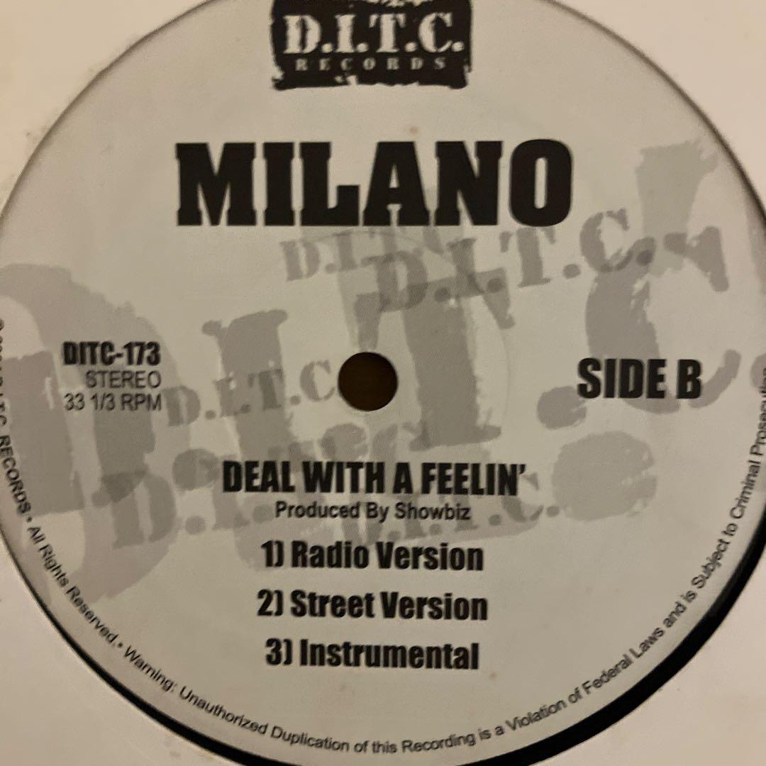 DITC レア12Inc ９枚set lordfinesse/diamond d