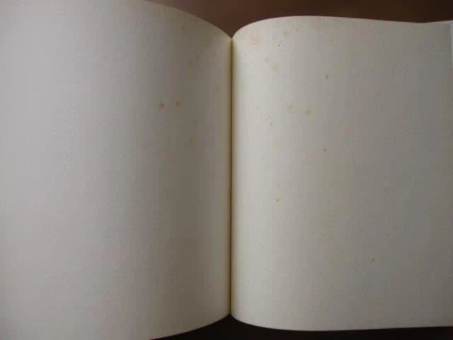 Cy Twombly : 24 Short Pieces サイ・トゥオンブリー