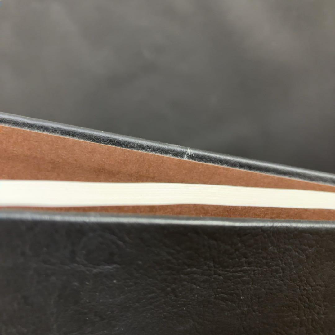 ALEC SOTH NIAGARA アレック・ソス 作品集 写真集 ナイアガラ