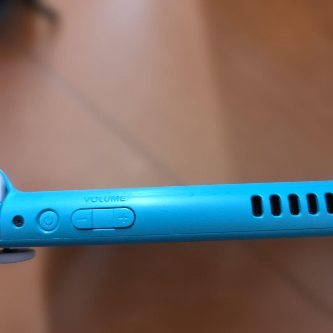 Nintendo Switch Lite本体　専用ケース付き