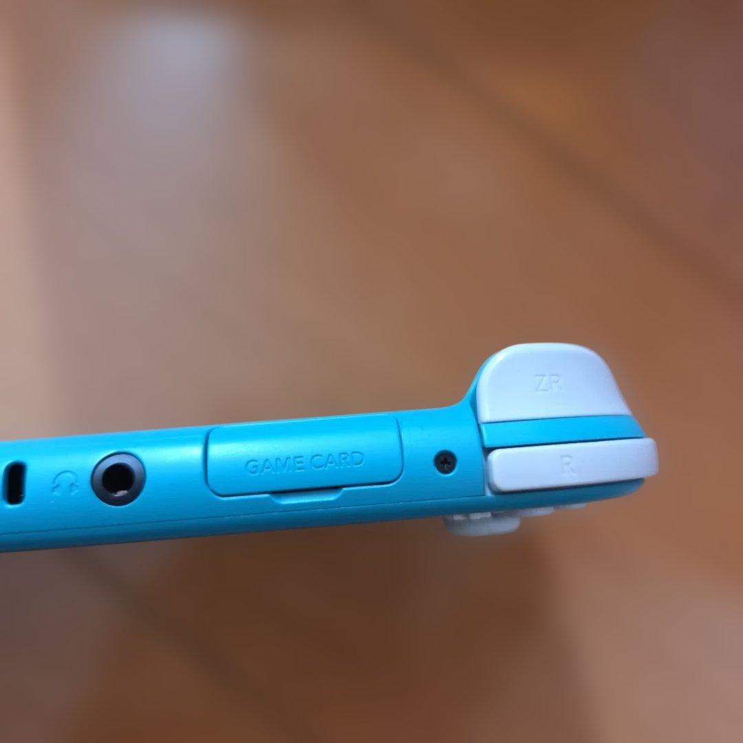 Nintendo Switch Lite本体　専用ケース付き