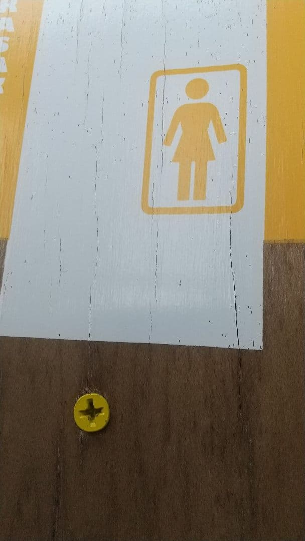 ガール　スケートボード コンプリート girl