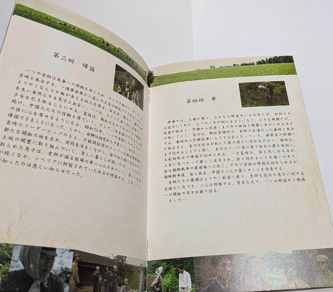 開拓者たち DVD BOX レア 満島ひかり 石田卓也 綾野剛