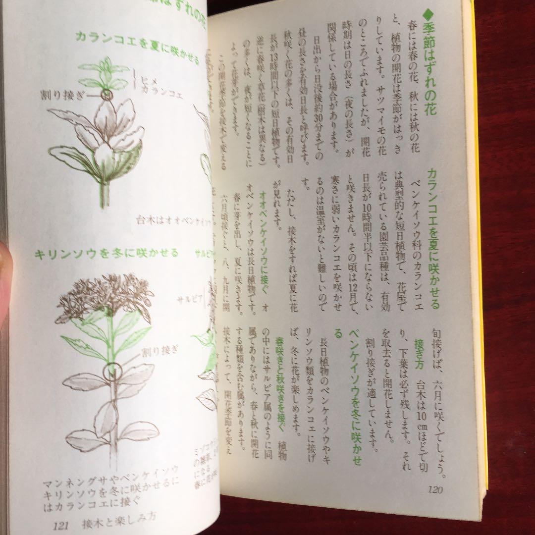 カラー版絵とき　さし木　つぎ木の楽しみ方　湯浅浩史　池田書店