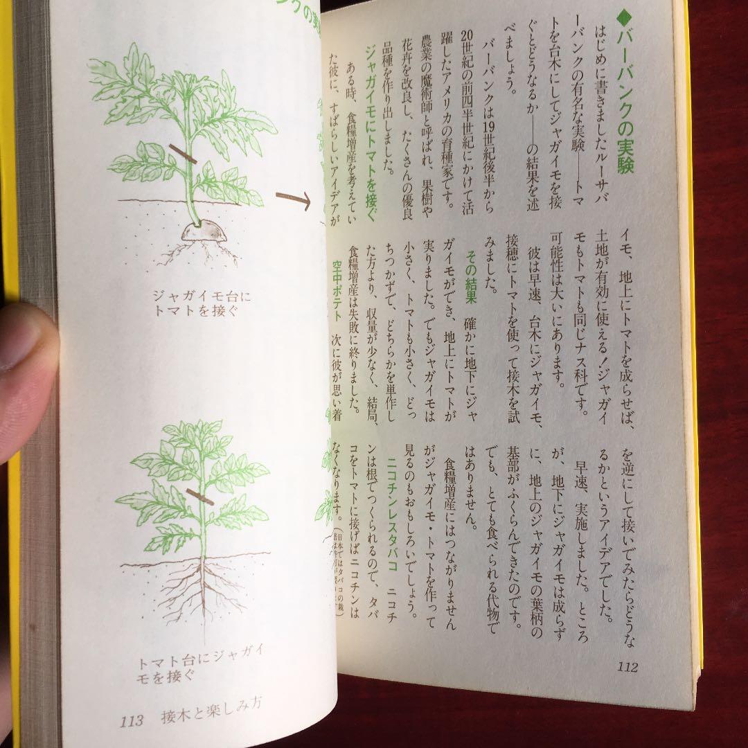 カラー版絵とき　さし木　つぎ木の楽しみ方　湯浅浩史　池田書店