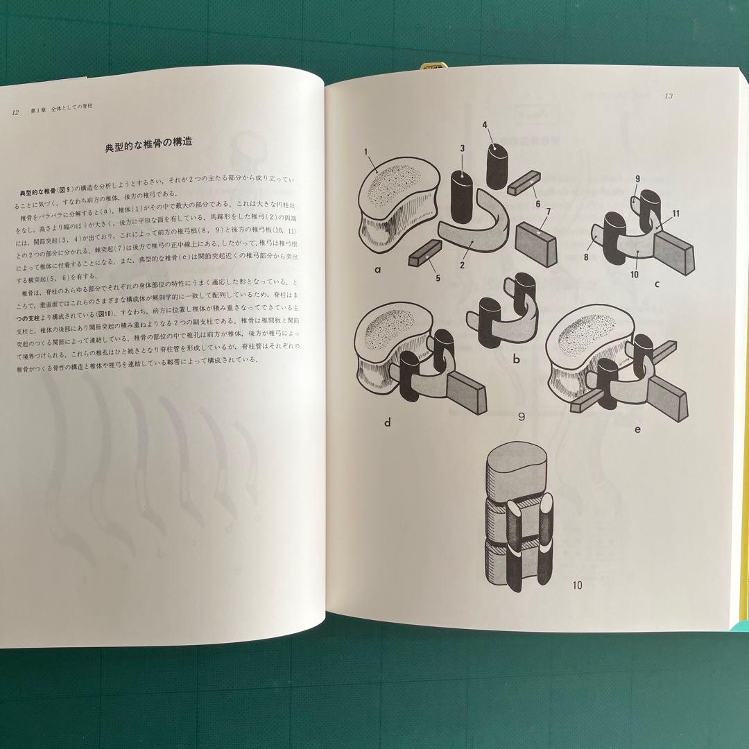 カパンディ 関節の生理学 Ⅰ 上肢 Ⅱ下肢 Ⅲ体幹・背柱