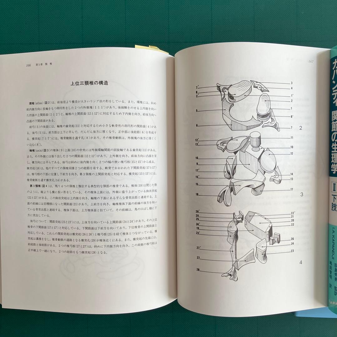 カパンディ 関節の生理学 Ⅰ 上肢 Ⅱ下肢 Ⅲ体幹・背柱