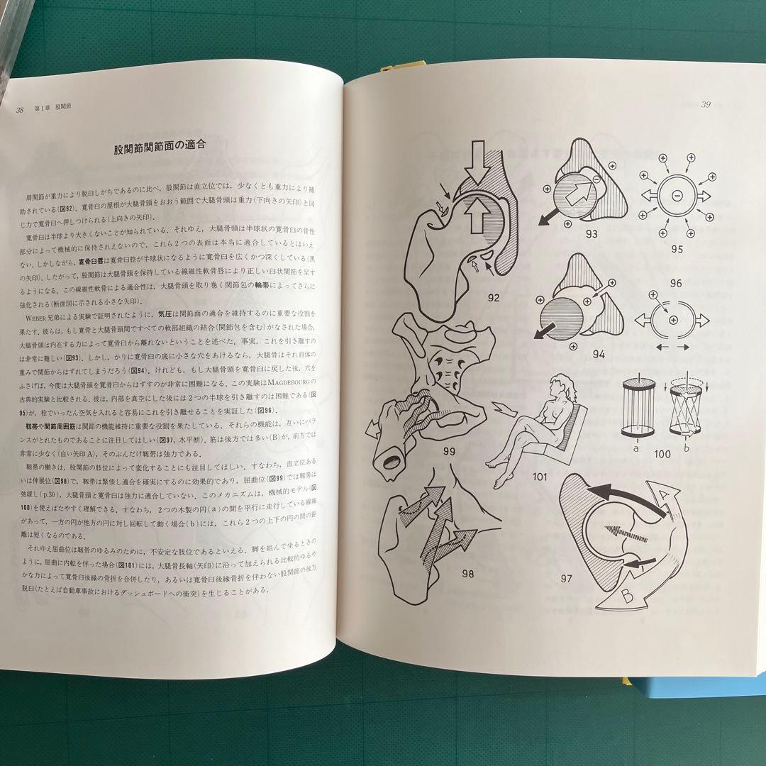 カパンディ 関節の生理学 Ⅰ 上肢 Ⅱ下肢 Ⅲ体幹・背柱